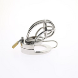 2-in-1 Ball Stretcher Chastity Cage wearing | 3d-chastity