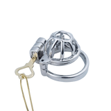 2 In 1 Custom Chastity Cage lock and ring | 3d-chastity