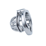 2 In 1 Custom Chastity Cage size and shape | 3d-chastity