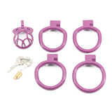 Sissy Chastity Cage with 4 Rings wearing | 3d-chastity