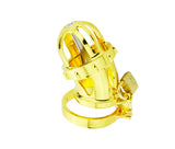 24k Gold Plating Male Chastity Device wearing | 3d-chastity