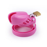 Pretty In Pink Chastity Cage wearing | 3d-chastity