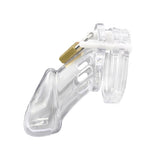 Chastity Cage for Beginners rear | 3d-chastity