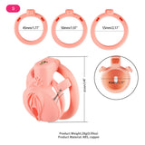 3D Pussy Chastity Cage lock and ring | 3d-chastity