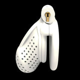 3D Bumblebee Honeycomb Chastity Cage size and shape | 3d-chastity