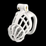 3D Spine Bone Stegosaurus Chastity Device Kit size and shape | 3d-chastity