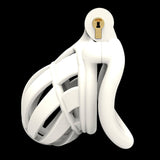 3D Wide Head Stegosaurus Chastity Device Kit material finish close | 3d-chastity