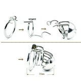Dome Prince Albert Chastity Cage lock and ring | 3d-chastity