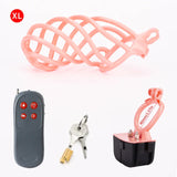 Electric Shock Penis Cage