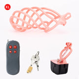 Electric Shock Penis Cage