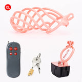 Electric Shock Penis Cage