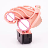 Electric Shock Chastity Cage lock and ring | 3d-chastity