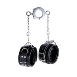 Male Cock Ring Ball Stretcher Chastity Cage wearing | 3d-chastity