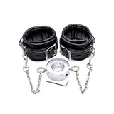 Male Cock Ring Ball Stretcher Chastity Cage size and shape | 3d-chastity