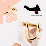 Screw Testicle Ball Stretcher Stainless Steel Chastity Cage lock and ring | 3d-chastity
