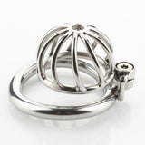 Small Metal Twisted Chastity Cage main product | 3d-chastity