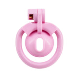 Locked Cute Sissy Chastity Cage lock and ring | 3d-chastity