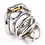 Metal Chastity Cage Small & Shabby main product | 3d-chastity