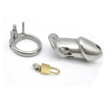 Metal Chastity Cage Long & Hard size and shape | 3d-chastity