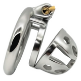 the Solid Dungeon Male Metal Chastity Cage 1.38" lock and ring | 3d-chastity