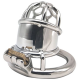 Plum Club Bullet Micro Chastity Cage 1.65" wearing | 3d-chastity