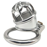 Plum Club Bullet Micro Chastity Cage 1.65" main product | 3d-chastity