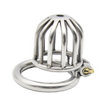 Little Birdie Cage - Steel Awl Chastity Cage 1.69 In main product | 3d-chastity