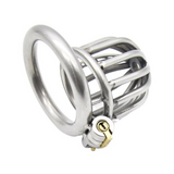 Little Birdie Cage - Steel Awl Chastity Cage 1.69 In wearing | 3d-chastity