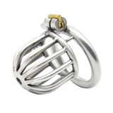 Little Birdie Cage - Steel Awl Chastity Cage 1.69 In lock and ring | 3d-chastity