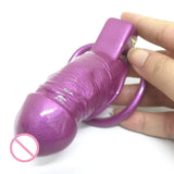 Mistress Shiny Penis Chastity Cage wearing | 3d-chastity