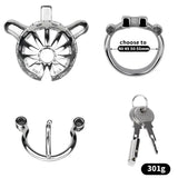 Removable PA Chastity Cage full kit | 3d-chastity