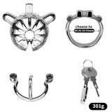 Removable PA Chastity Cage comparison | 3d-chastity
