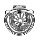 Removable PA Chastity Cage wearing | 3d-chastity