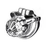 Removable PA Chastity Cage lock and ring | 3d-chastity