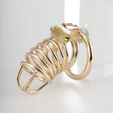 Metal Gold Chastity Cage size and shape | 3d-chastity