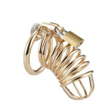 Metal Gold Chastity Cage material finish close | 3d-chastity