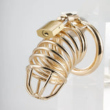 Metal Gold Chastity Cage wearing | 3d-chastity