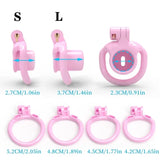 BDSM Sissy Slave Inverted Male Chastity Cage lock and ring | 3d-chastity