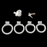 BDSM Sissy Slave Inverted Male Chastity Cage rear | 3d-chastity