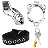 Small Sissy Shell Design Chastity Cage comparison | 3d-chastity