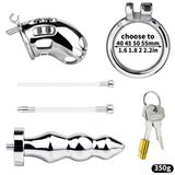 Spiked Male Chastity Cage with Anal Plug front | 3d-chastity