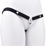 Male to Female Transformation Chastity Belt comparison | 3d-chastity
