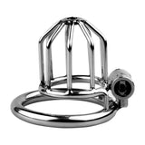 Metal Chastity Lock Bound lock and ring | 3d-chastity