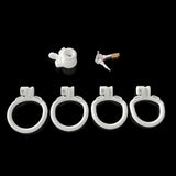 BDSM Sissy Slave Inverted Male Chastity Cage full kit | 3d-chastity