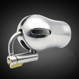 Stainless Steel PA Lock Chastity Cage with D-Ring lock and ring | 3d-chastity