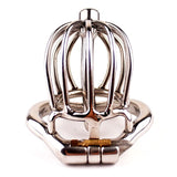 CHASTITY CAGE 1.97 Inch LONG wearing | 3d-chastity