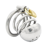 the Dungeon Stainless Steel Chastity Cage 2.36 In main product | 3d-chastity