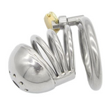 the Dungeon Stainless Steel Chastity Cage 2.36 In lock and ring | 3d-chastity