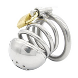 the Dungeon Stainless Steel Chastity Cage 2.36 In wearing | 3d-chastity