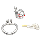 the Cuck Detainer - Micro Stainless Steel Chastity Device 1.57 In lock and ring | 3d-chastity